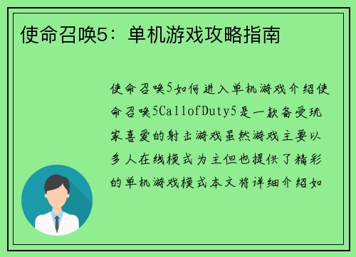 使命召唤5：单机游戏攻略指南
